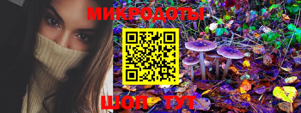 Псилоцибиновые грибы Psilocybe  Псилоцибиновые грибы мухоморы  Кумертау  Вход с VPN 