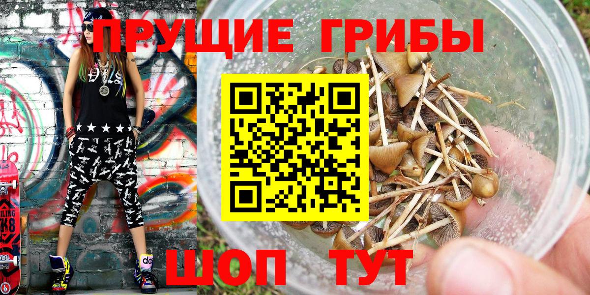 Галлюциногенные грибы Psilocybe Кумертау